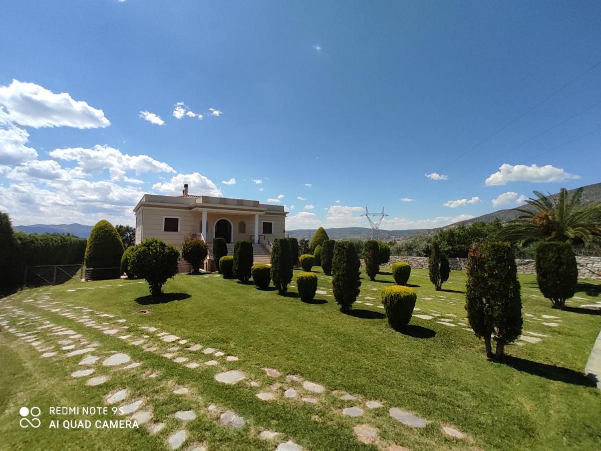 Luxury Villa Thea Golos Dış mekan fotoğraf