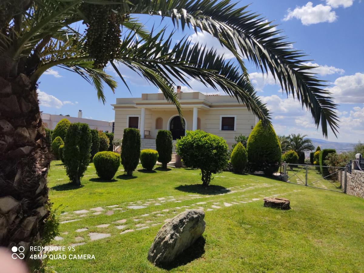 Luxury Villa Thea Golos Dış mekan fotoğraf